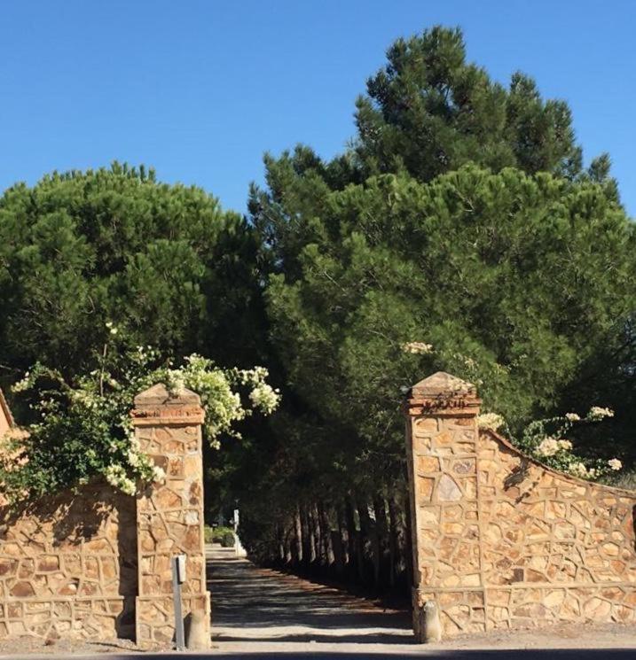 Suite A Villa D'Orri 萨罗克 外观 照片