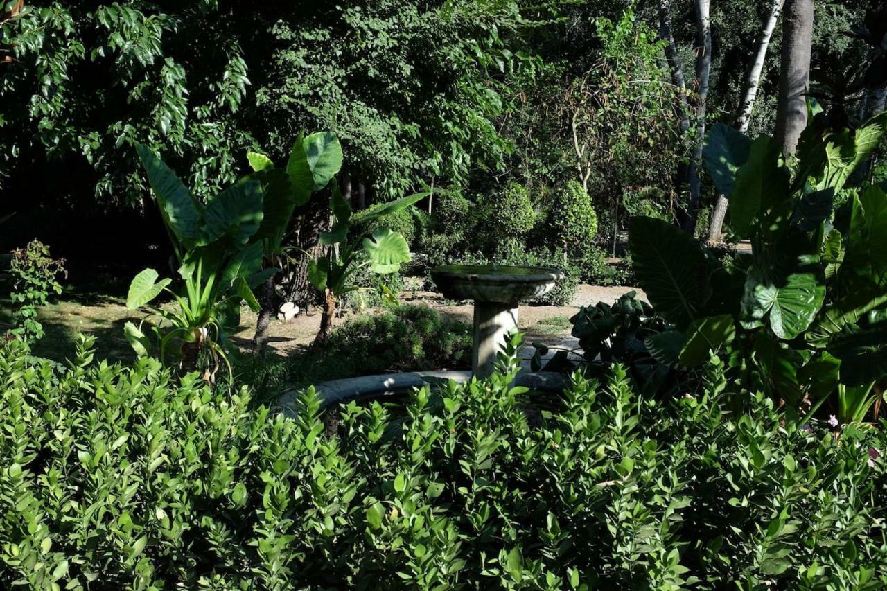 Suite A Villa D'Orri 萨罗克 外观 照片