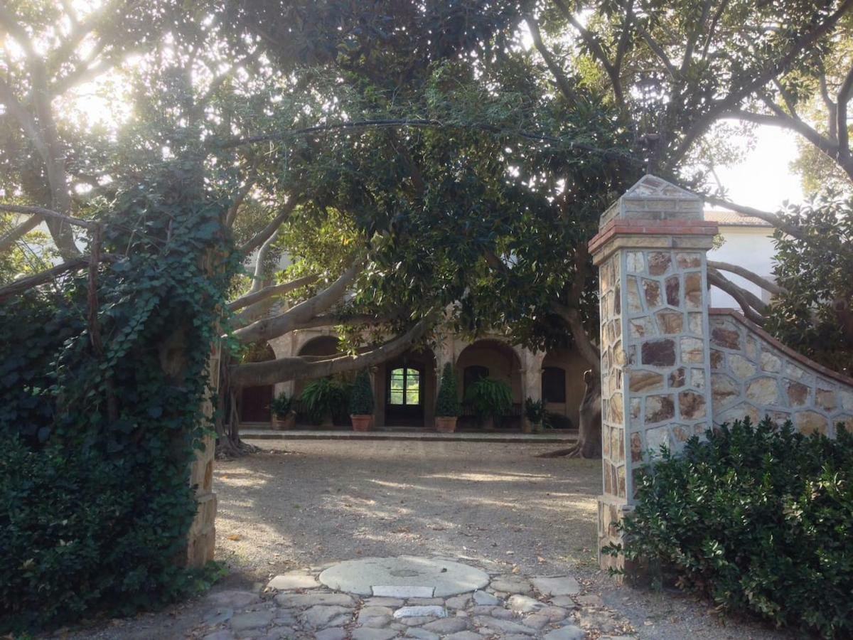 Suite A Villa D'Orri 萨罗克 外观 照片